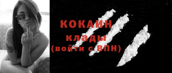 дмт Губаха
