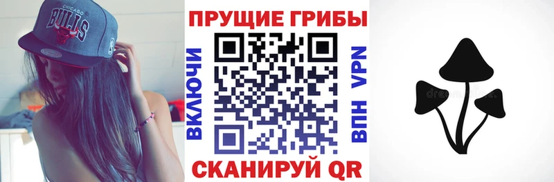 цена   Усть-Лабинск  Псилоцибиновые грибы Psilocybine cubensis 