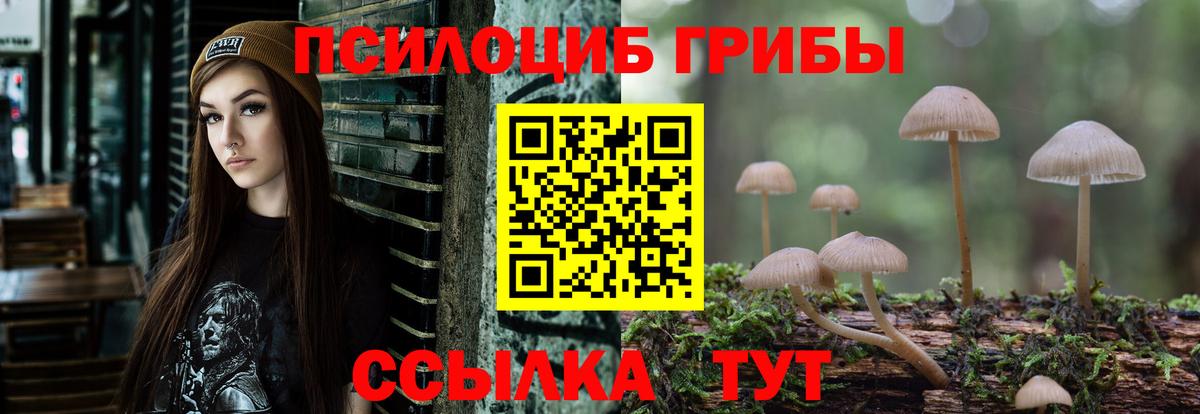 Галлюциногенные грибы мухоморы  Галлюциногенные грибы Cubensis  Усть-Лабинск  Вход с VPN 